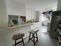 Ubi Avenue 1 (D14), Shop House #575671711
